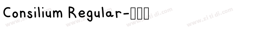 Consilium Regular字体转换